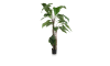 Henders & Hazel - COCOmaison - Alocasia Giant Tree H180cm Kunstpflanze