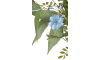 Henders & Hazel - COCOmaison - Eucalyptus branch H95cm