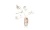 Henders & Hazel - COCOmaison - Don Vase H30cm