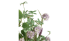 Henders & Hazel - COCOmaison - Tropaeolum Spray H88cm fleur
