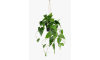 Henders and Hazel - COCOmaison - Philodendron Scandens H80cm kunstplant