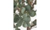 Henders & Hazel - COCOmaison - Eucalyptus Tree Kunstpflanze H240cm