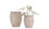 XOOON - COCOmaison - Wave pot H40cm