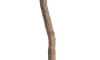Henders & Hazel - COCOmaison - Olive Tree H180cm Kunstpflanze