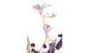 Henders & Hazel - COCOmaison - Eremurus Spray H107cm Kunstblume