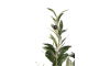 Henders & Hazel - COCOmaison - Olive Tree H180cm Kunstpflanze