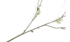 Henders & Hazel - COCOmaison - Ball Mum Spray H93cm