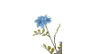 Henders & Hazel - COCOmaison - Eucalyptus branch H95cm