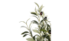 Henders & Hazel - COCOmaison - Olive Tree H180cm Kunstpflanze