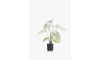 Henders and Hazel - COCOmaison - Caladium H60cm kunstplant