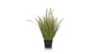 XOOON - COCOmaison - Pennisetum Grass plant H99cm