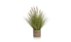 XOOON - COCOmaison - Pennisetum Grass plant H99cm