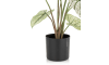 Henders and Hazel - COCOmaison - Caladium H60cm kunstplant