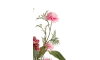 Henders & Hazel - COCOmaison - Ball Mum Spray H93cm
