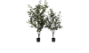 Henders & Hazel - COCOmaison - Eucalyptus Tree Kunstpflanze H140cm