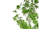 XOOON - COCOmaison - Tropaeolum kunstplant H210cm