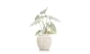 Henders and Hazel - COCOmaison - Caladium H60cm kunstplant