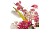 Henders & Hazel - COCOmaison - Cherry blossom spray H120cm