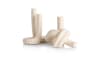 Henders & Hazel - COCOmaison - Kiki Vase H17cm