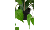 Henders & Hazel - COCOmaison - Philodendron Scandens H80cm Kunstpflanze