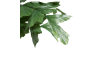 XOOON - COCOmaison - Palm Fishtail plante artificielle H135cm