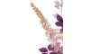 Henders & Hazel - COCOmaison - Eremurus Spray H107cm Kunstblume