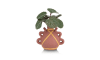 Henders & Hazel - COCOmaison - Saxifrage Mini Bush H13cm Kunstblume