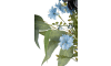 Henders & Hazel - COCOmaison - Eucalyptus branch H95cm