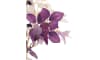 Henders & Hazel - COCOmaison - Eremurus Spray H107cm Kunstblume