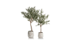 Henders & Hazel - COCOmaison - Olive Tree H180cm Kunstpflanze
