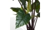 Henders & Hazel - COCOmaison - Colocasia H130cm