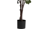 Henders & Hazel - COCOmaison - Eucalyptus Tree plante artificielle H180cm
