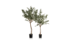 Henders & Hazel - COCOmaison - Olive Tree H180cm Kunstpflanze