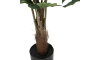 XOOON - COCOmaison - Palm Fishtail plante artificielle H135cm