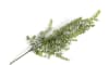 Henders & Hazel - COCOmaison - Eucalyptus Hanging Vine H120cm fleur