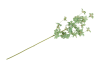 Henders & Hazel - COCOmaison - Tropaeolum Spray H88cm fleur