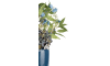 Henders & Hazel - COCOmaison - Eucalyptus branch H95cm