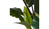 Henders & Hazel - COCOmaison - Colocasia H130cm