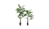 XOOON - COCOmaison - Palm Fishtail plante artificielle H135cm