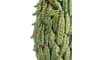 XOOON - COCOmaison - Peas in a pot vase H45cm