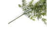 Henders & Hazel - COCOmaison - Eucalyptus Hanging Vine H120cm fleur