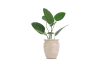 XOOON - COCOmaison - Wave pot H40cm