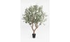 XOOON - COCOmaison - Eucalyptus Tree Kunstpflanze H240cm