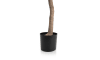 Henders & Hazel - COCOmaison - Olive Tree H180cm Kunstpflanze