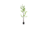 XOOON - COCOmaison - Tropaeolum kunstplant H210cm