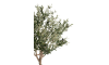 Henders & Hazel - COCOmaison - Olive Tree H180cm Kunstpflanze