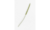 Henders & Hazel - COCOmaison - Donkey Tail fleur artificielle H86cm