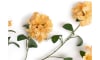 Henders & Hazel - COCOmaison - Rhododendron Spray Kunstblume H118cm
