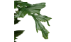 XOOON - COCOmaison - Palm Fishtail plante artificielle H135cm