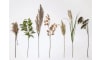 H&H - Coco Maison - Pampus Grass fleur artificielle H120cm